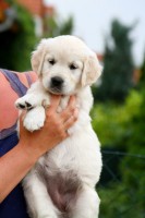 /album/fotogalerie/arinka-profil-jpg/